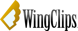 www.wingclips.com