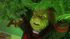 How-the-grinch-stole-christmas-movie-clip-screenshot-i-hate-christmas_thumb