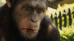 Watch the movie clip "Cesar Attacks" from "Rise Of The Planet Of The Apes"