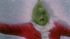 How-the-grinch-stole-christmas-movie-clip-screenshot-christmas-is-more_thumb