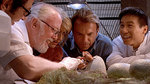 Watch the movie clip "Life Finds A Way" from "Jurassic Park"