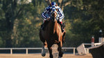 Watch the movie clip "Making of a Champion" from "Secretariat"